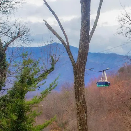 Villa Four Bears Den à Gatlinburg Extérieur photo