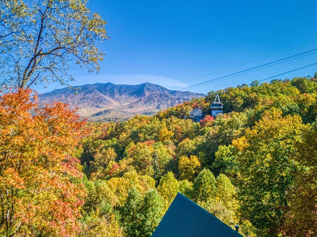 Four Bears Den