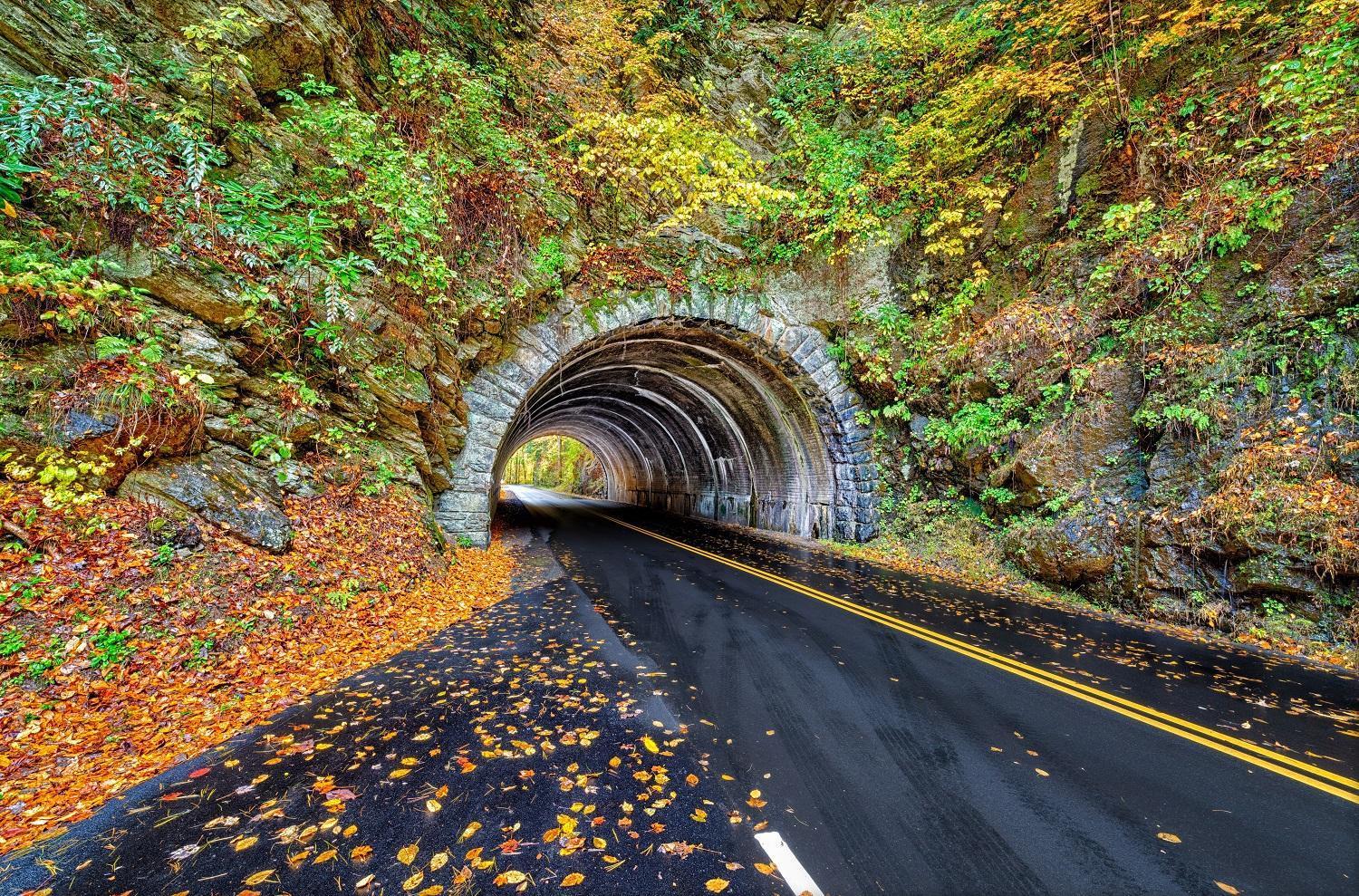 Four Bears Den Gatlinburg